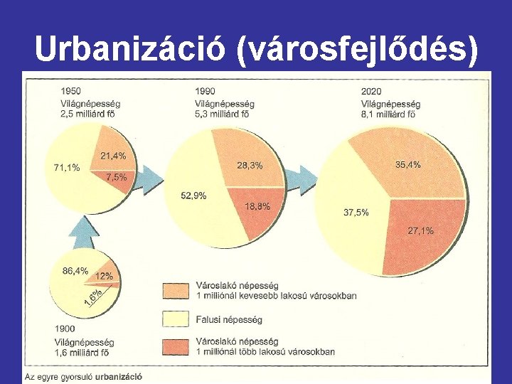 Urbanizáció (városfejlődés) 