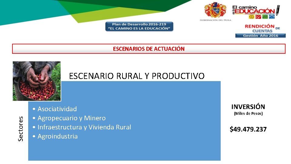 ESCENARIOS DE ACTUACIÓN Sectores ESCENARIO RURAL Y PRODUCTIVO • Asociatividad • Agropecuario y Minero