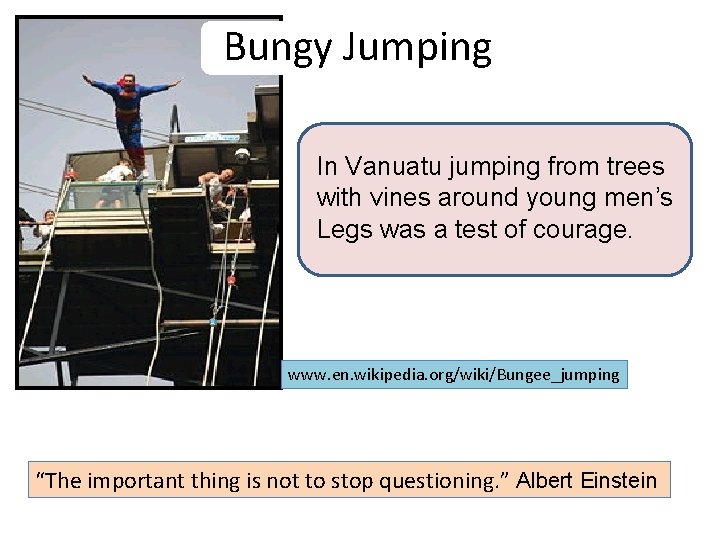 Bungy Jumping In Vanuatu jumping from trees with vines around young men’s Legs was