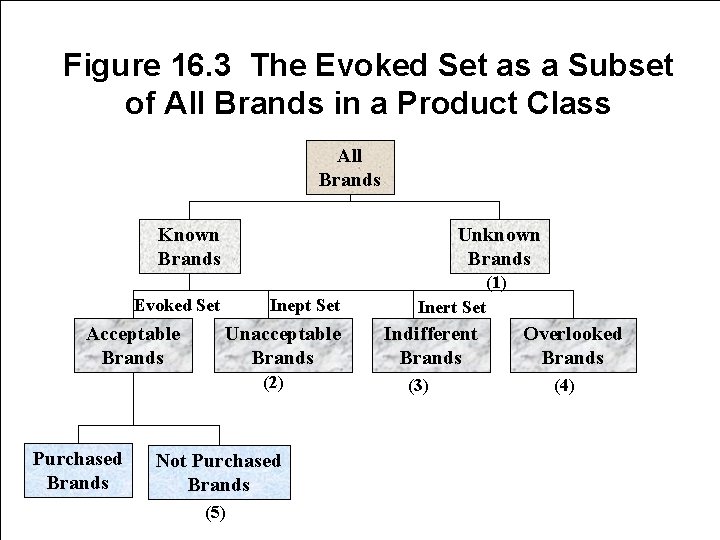 Figure 16. 3 The Evoked Set as a Subset of All Brands in a