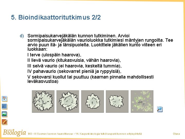 5. Bioindikaattoritutkimus 2/2 d) Sormipaisukarvejäkälän kunnon tutkiminen. Arvioi sormipaisukarvejäkälän vaurioluokka tutkimiesi mäntyjen rungoilta. Tee
