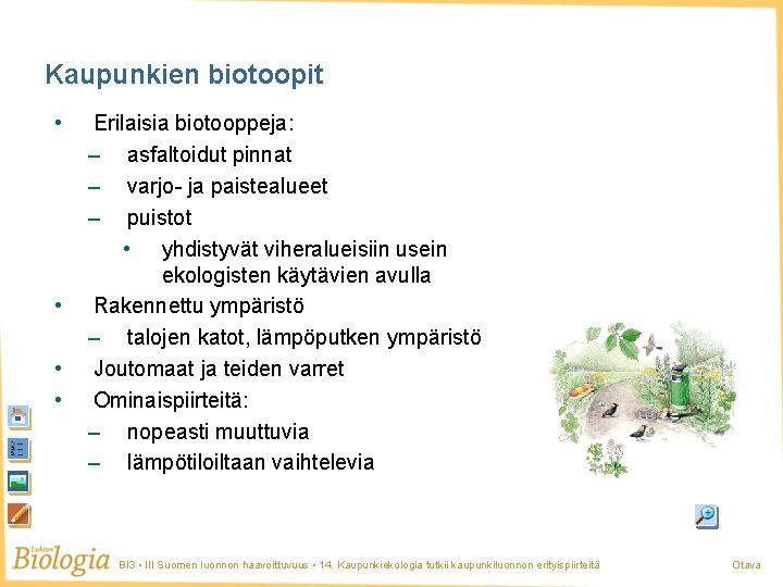 Kaupunkien biotoopit • • Erilaisia biotooppeja: – asfaltoidut pinnat – varjo- ja paistealueet –
