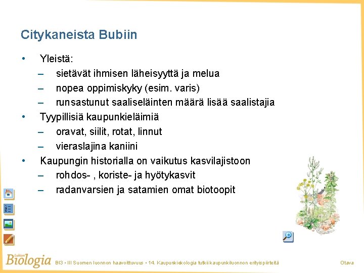 Citykaneista Bubiin • • • Yleistä: – sietävät ihmisen läheisyyttä ja melua – nopea