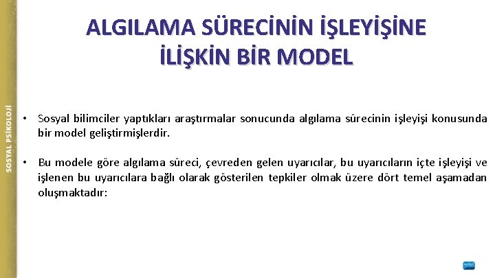 ALGILAMA SÜRECİNİN İŞLEYİŞİNE İLİŞKİN BİR MODEL • Sosyal bilimciler yaptıkları araştırmalar sonucunda algılama sürecinin