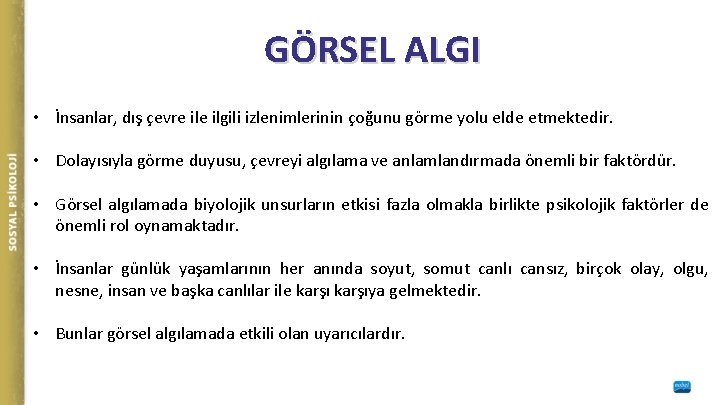 GÖRSEL ALGI • İnsanlar, dış çevre ilgili izlenimlerinin çoğunu görme yolu elde etmektedir. •