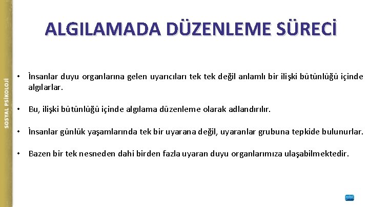 ALGILAMADA DÜZENLEME SÜRECİ • İnsanlar duyu organlarına gelen uyarıcıları tek değil anlamlı bir ilişki