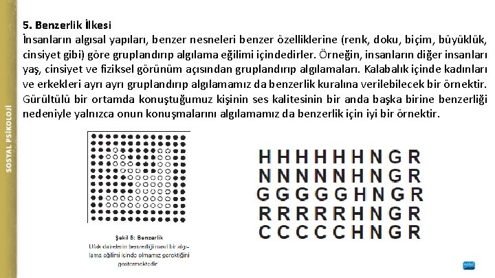 5. Benzerlik İlkesi İnsanların algısal yapıları, benzer nesneleri benzer özelliklerine (renk, doku, biçim, büyüklük,