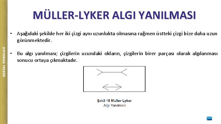 MÜLLER-LYKER ALGI YANILMASI • Aşağıdaki şekilde her iki çizgi aynı uzunlukta olmasına rağmen üstteki