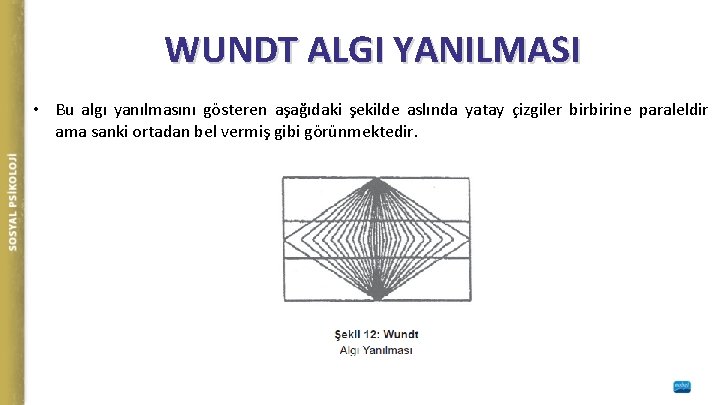 WUNDT ALGI YANILMASI • Bu algı yanılmasını gösteren aşağıdaki şekilde aslında yatay çizgiler birbirine