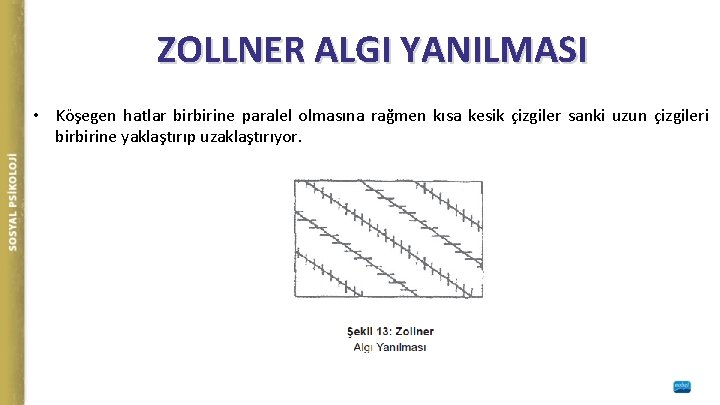 ZOLLNER ALGI YANILMASI • Köşegen hatlar birbirine paralel olmasına rağmen kısa kesik çizgiler sanki