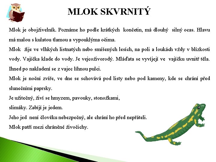  MLOK SKVRNITÝ Mlok je obojživelník. Poznáme ho podle krátkých končetin, má dlouhý silný