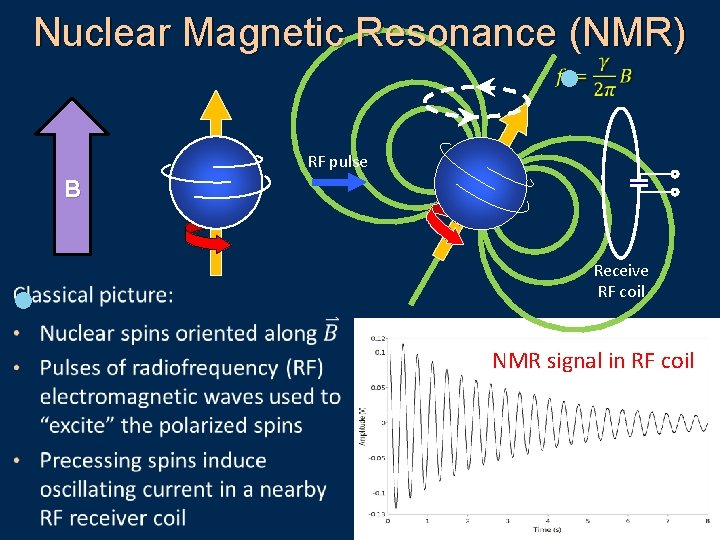 Nuclear Magnetic Resonance (NMR) l RF pulse B l Receive RF coil NMR signal