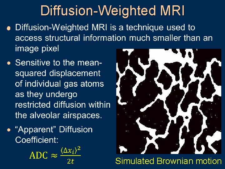 Diffusion-Weighted MRI · Simulated Brownian motion 