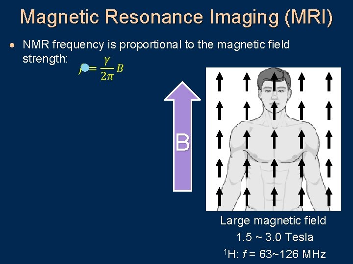 Magnetic Resonance Imaging (MRI) · NMR frequency is proportional to the magnetic field strength: