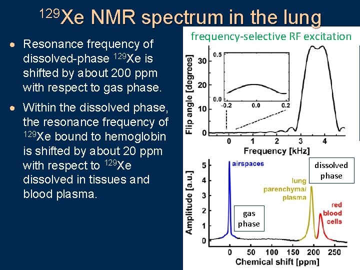 129 Xe NMR spectrum in the lung · Resonance frequency of dissolved-phase 129 Xe