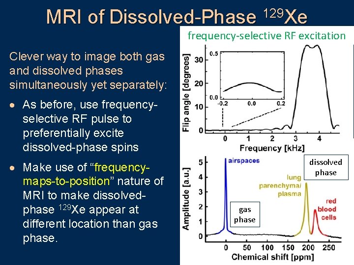 MRI of Dissolved-Phase 129 Xe frequency-selective RF excitation Clever way to image both gas