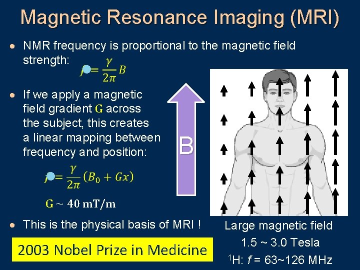 Magnetic Resonance Imaging (MRI) · NMR frequency is proportional to the magnetic field strength: