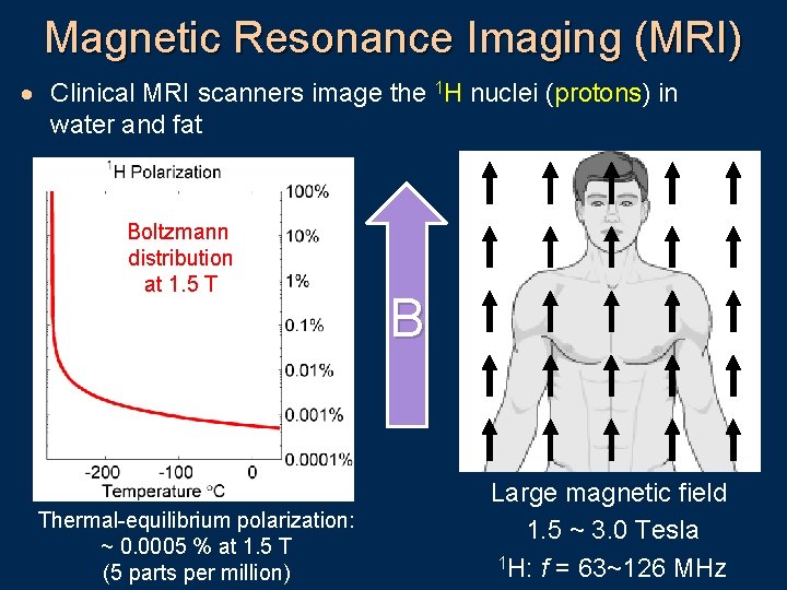Magnetic Resonance Imaging (MRI) · Clinical MRI scanners image the 1 H nuclei (protons)