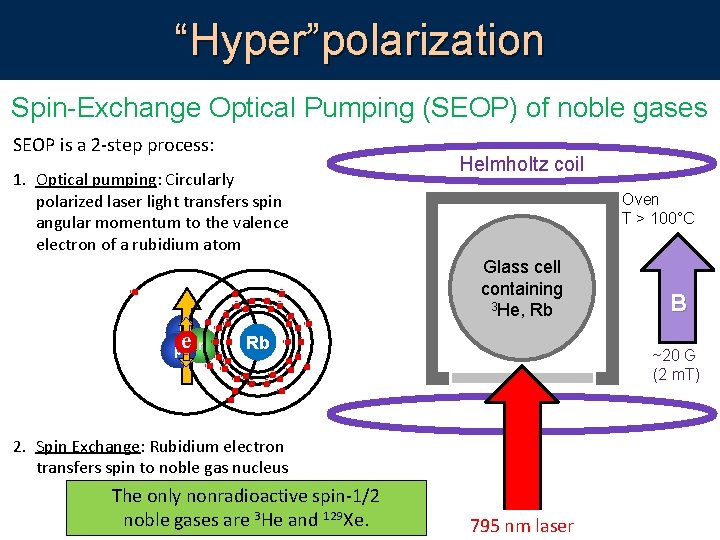 “Hyper”polarization Spin-Exchange Optical Pumping (SEOP) of noble gases SEOP is a 2 -step process: