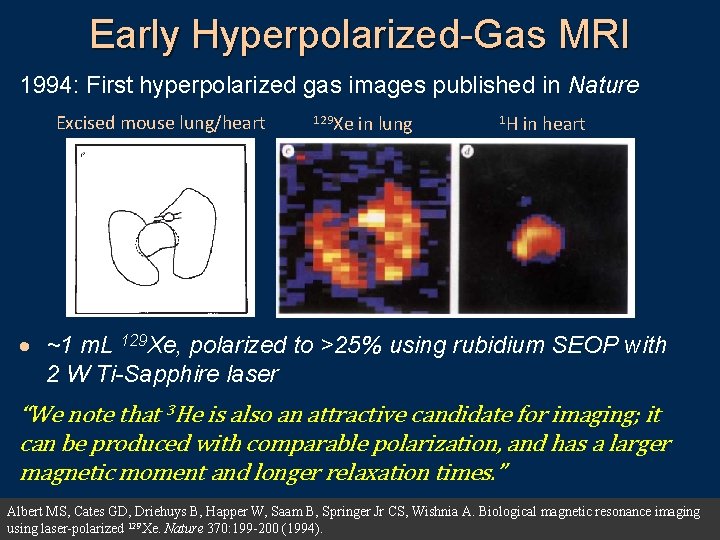 Early Hyperpolarized-Gas MRI 1994: First hyperpolarized gas images published in Nature Excised mouse lung/heart