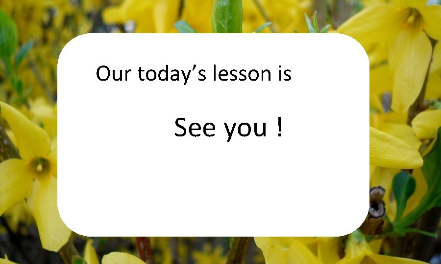 Our today’s lesson is See you ! 