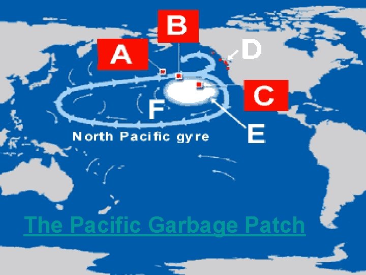 The Pacific Garbage Patch The Pacific Garbage Patch