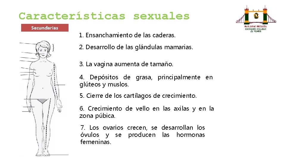 Características sexuales Secundarias 1. Ensanchamiento de las caderas. 2. Desarrollo de las glándulas mamarias. Características sexuales Secundarias 1. Ensanchamiento de las caderas. 2. Desarrollo de las glándulas mamarias.