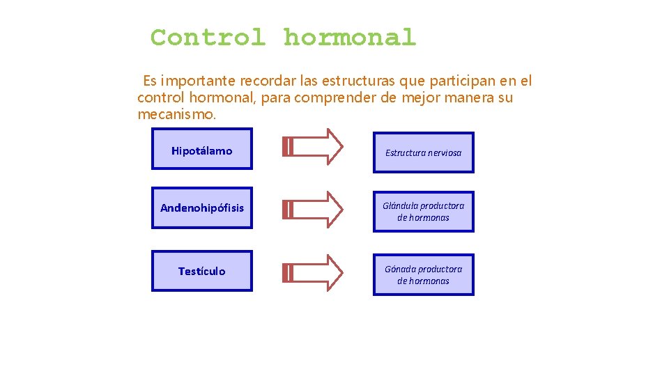Control hormonal Es importante recordar las estructuras que participan en el control hormonal, para