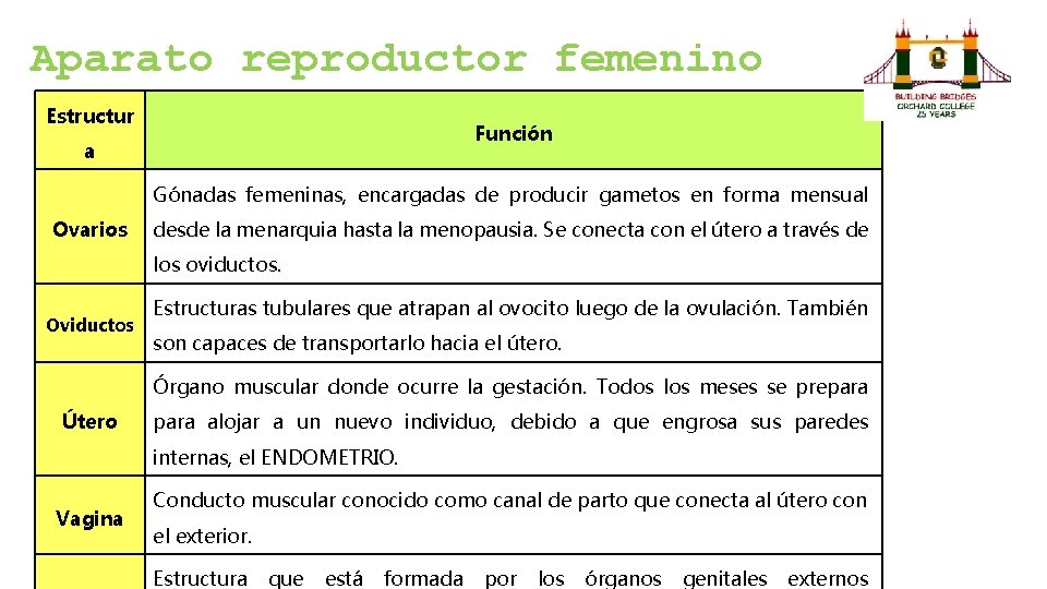 Aparato reproductor femenino Estructur Función a Gónadas femeninas, encargadas de producir gametos en forma
