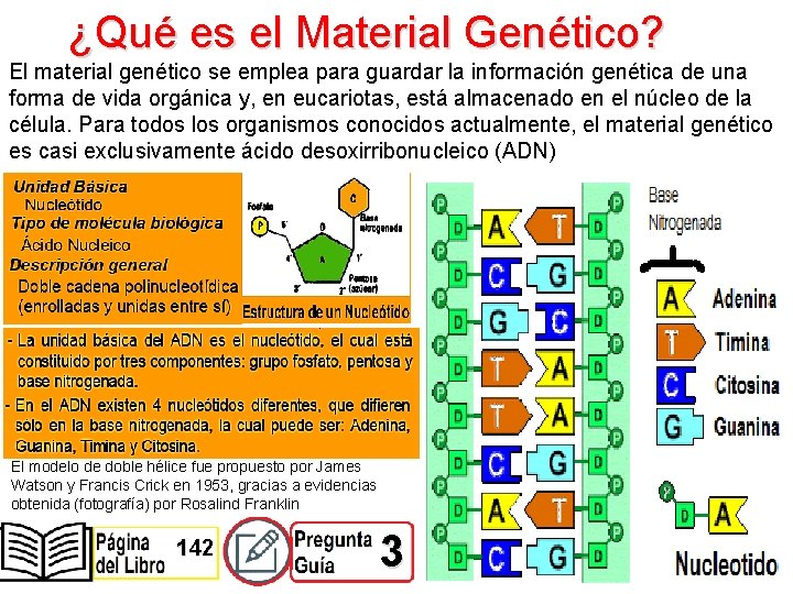 ¿Qué es el Material Genético? El material genético se emplea para guardar la información