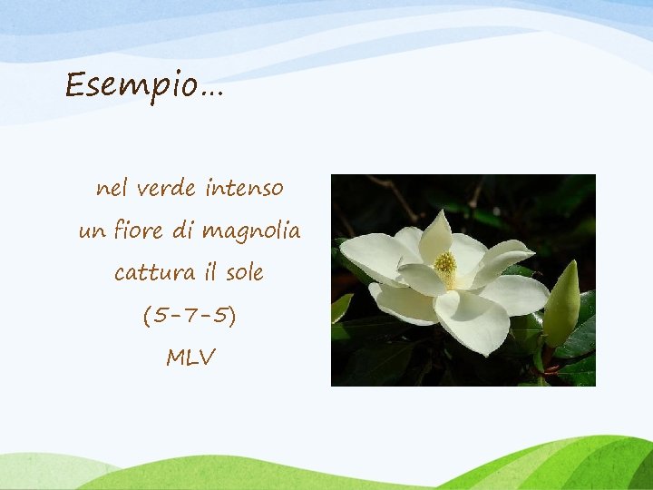 Esempio… nel verde intenso un fiore di magnolia cattura il sole (5 -7 -5)