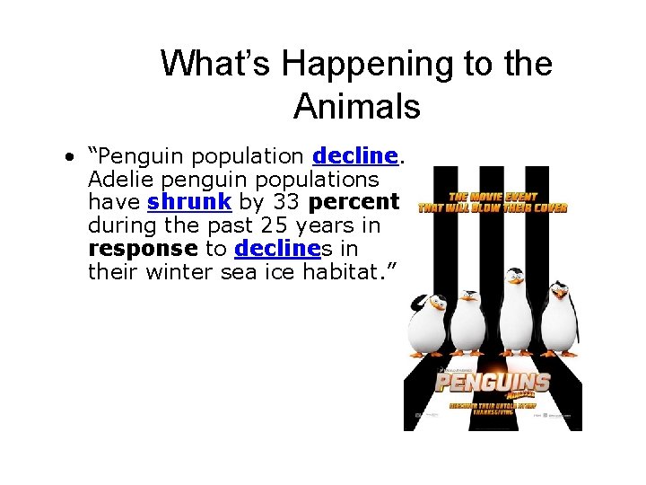 What’s Happening to the Animals • “Penguin population decline. Adelie penguin populations have shrunk