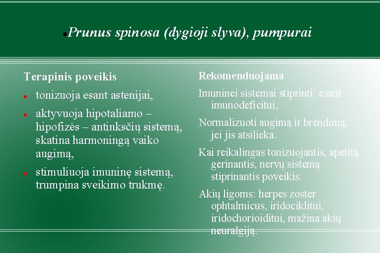  Prunus spinosa (dygioji slyva), pumpurai Terapinis poveikis tonizuoja esant astenijai, aktyvuoja hipotaliamo –