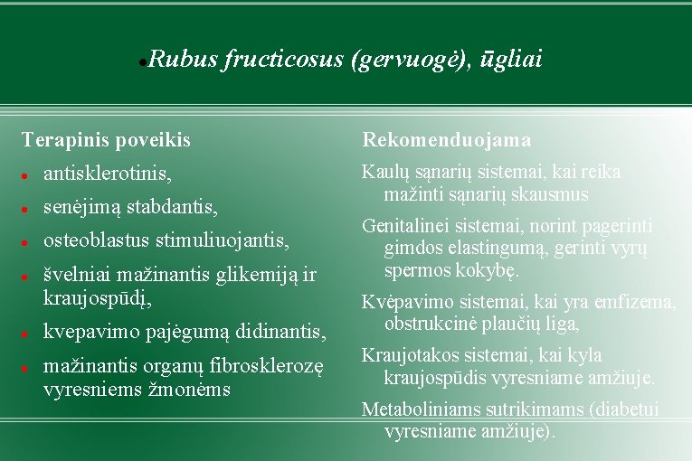  Rubus fructicosus (gervuogė), ūgliai Terapinis poveikis antisklerotinis, senėjimą stabdantis, osteoblastus stimuliuojantis, švelniai mažinantis