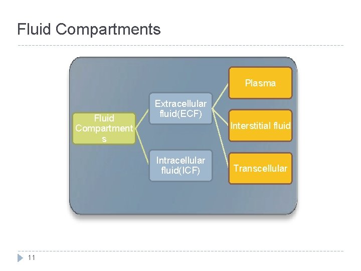 Fluid Compartments Plasma Fluid Compartment s Extracellular fluid(ECF) Interstitial fluid Intracellular fluid(ICF) 11 Transcellular