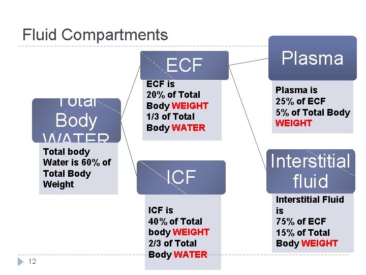 Fluid Compartments ECF Total Body WATER Total body Water is 60% of Total Body