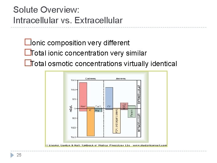 Solute Overview: Intracellular vs. Extracellular �Ionic composition very different �Total ionic concentration very similar