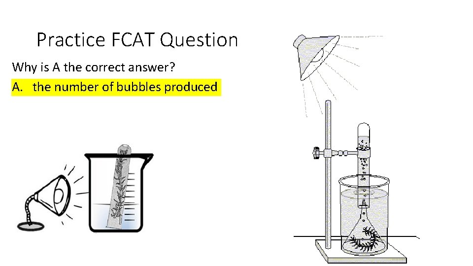 Practice FCAT Question Why is A the correct answer? A. the number of bubbles