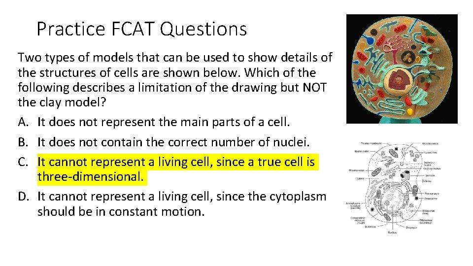 Practice FCAT Questions Two types of models that can be used to show details