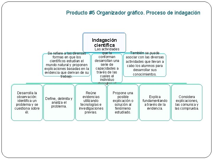 Producto #5 Organizador gráfico. Proceso de indagación Indagación científica Se refiere a las diversas