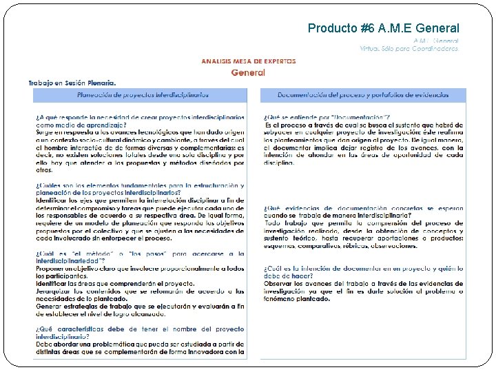 Producto #6 A. M. E General 
