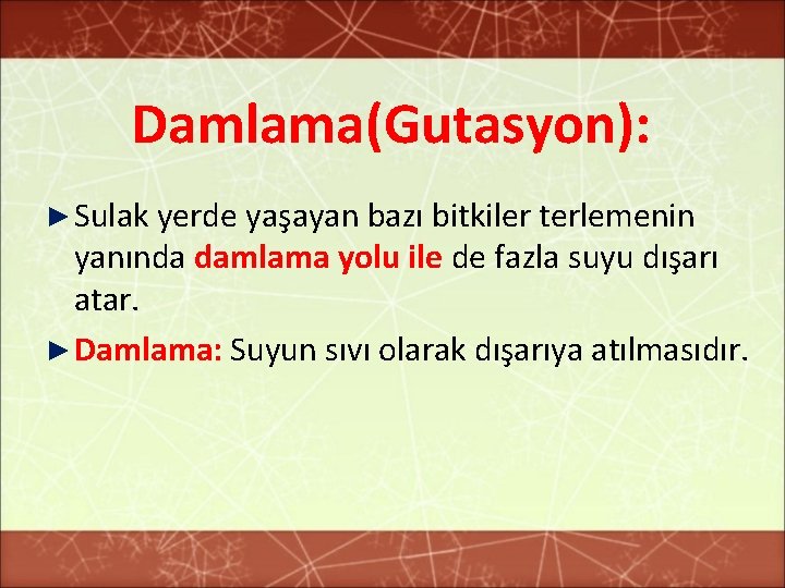 Damlama(Gutasyon): ► Sulak yerde yaşayan bazı bitkiler terlemenin yanında damlama yolu ile de fazla