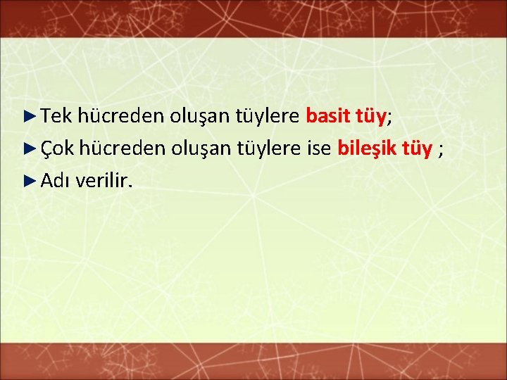 ► Tek hücreden oluşan tüylere basit tüy; ► Çok hücreden oluşan tüylere ise bileşik