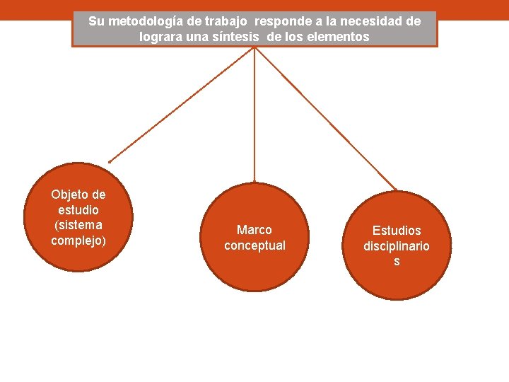 Su metodología de trabajo responde a la necesidad de lograra una síntesis de los