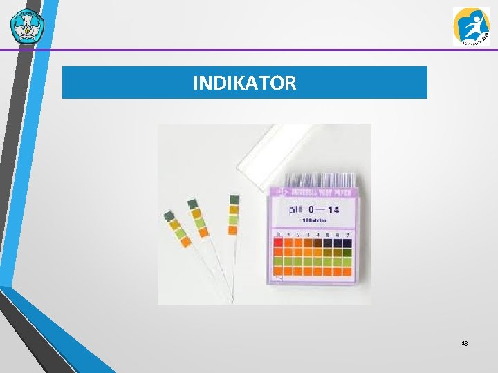 INDIKATOR 13 