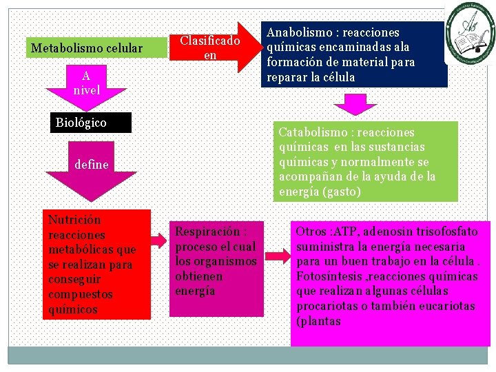 Metabolismo celular Clasificado en A nivel Biológico Catabolismo : reacciones químicas en las sustancias