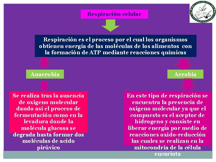 Respiración celular Respiración es el proceso por el cual los organismos obtienen energía de