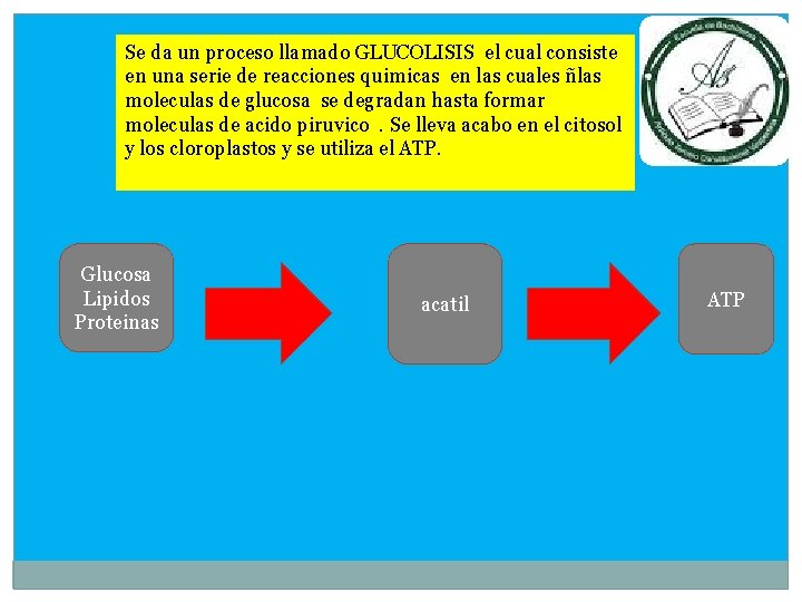 Se da un proceso llamado GLUCOLISIS el cual consiste en una serie de reacciones