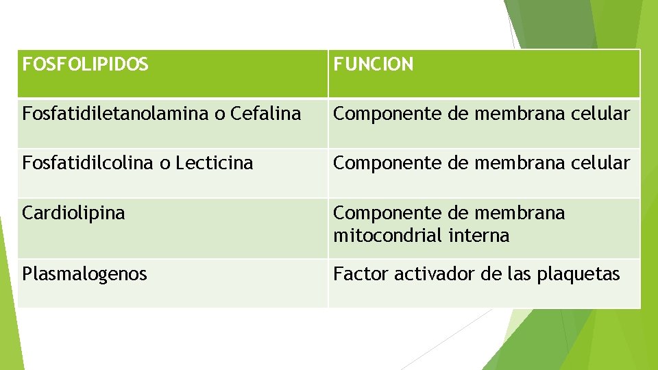 FOSFOLIPIDOS FUNCION Fosfatidiletanolamina o Cefalina Componente de membrana celular Fosfatidilcolina o Lecticina Componente de