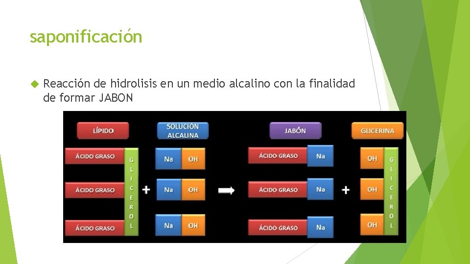 saponificación Reacción de hidrolisis en un medio alcalino con la finalidad de formar JABON